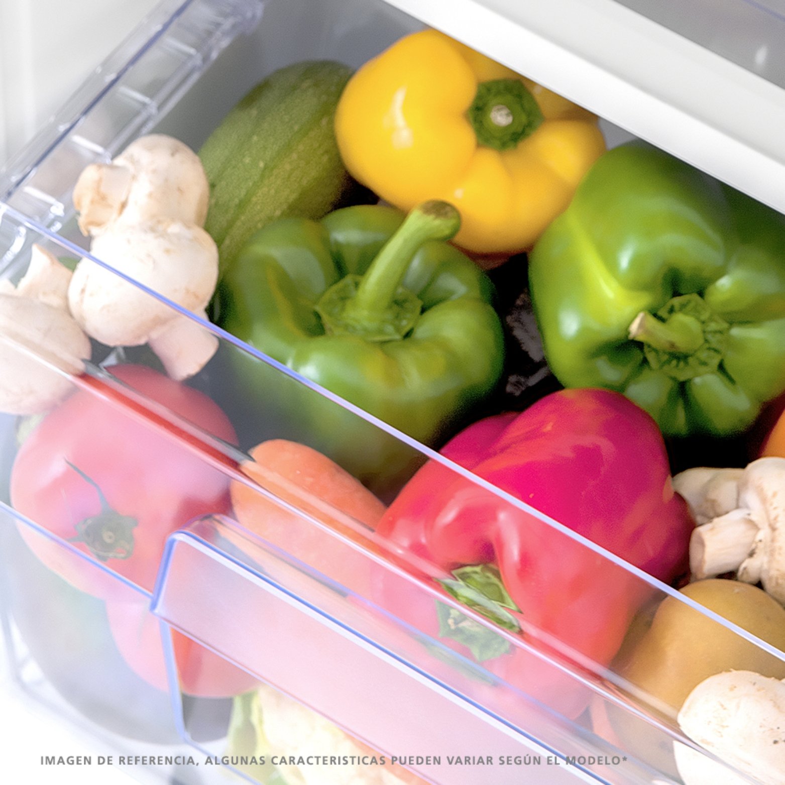 REFRIGERADORA MABE NO FROST 389L GRAFITO – RMP389JEG 9