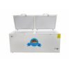 278 Congelador BD-650 Wifi Walker
